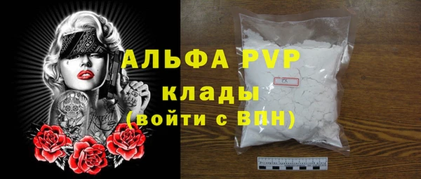 хмурый Нефтекумск