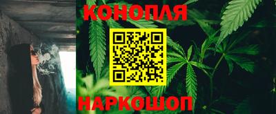 каннабис Гатчина