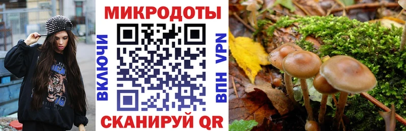 ссылка на мегу   Старая Русса  Псилоцибиновые грибы ЛСД 