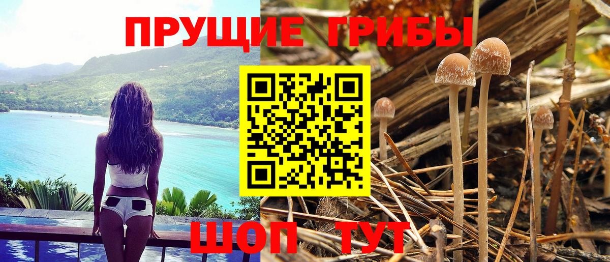 Галлюциногенные грибы ЛСД Старая Русса