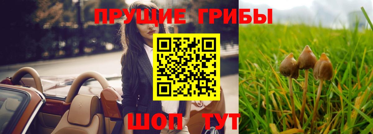 Галлюциногенные грибы Psilocybine cubensis  цена наркотик  Старая Русса  Псилоцибиновые грибы мицелий  Вход с VPN 